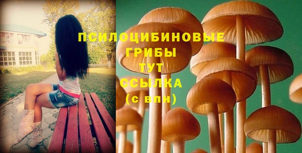 герыч Абаза